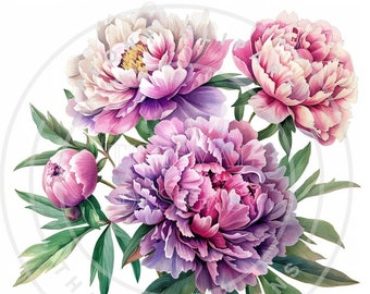 Peony Bouquet Clipart: 15 PNG Floral Graphics (Digital Download)