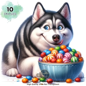 Funny Husky Clipart, Whimsical Husky Clipart, Cute Husky Clipart, Siberian Husky Watercolor Clipart, Siberian Husky Birthday Party Decor Art