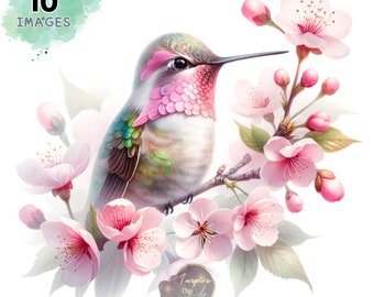 Clipart kolibrie, aquarel kolibrie clipart, kolibrie met bloem clipart, kolibrie aquarel kunst, kolibrie en bloemenkunst