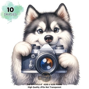 Cute Husky Clipart, Whimsical Husky Clipart, Funny Husky Clipart, Siberian Husky Watercolor Clipart, Cute Siberian Husky Sublimation Design
