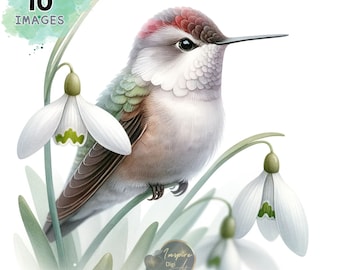 Kolibrie clipart, kolibrie met bloem clipart, kolibrie aquarel kunst, aquarel kolibrie clipart, kolibrie en bloemenkunst