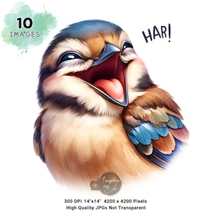Lustiger Vogel Clipart, wunderliche Vogel Clipart, wunderliche Vogel Kunst, süßer Vogel Clip Art, Aquarell Vogel Clipart, Liebe Vogel Geschenke, kommerzielle Nutzung