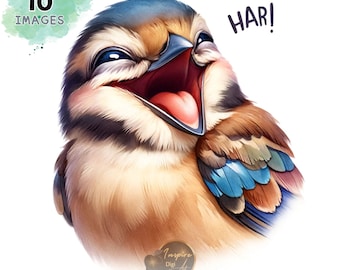 Funny Bird Clipart, Whimsical Bird Clipart, Whimsical Bird Art, Cute Bird Clip Art, Watercolor Bird Clipart, Love Bird Gifts, Commercial Use