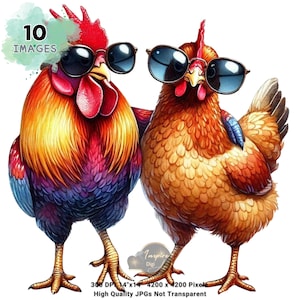 Imágenes prediseñadas de pollos divertidos, imágenes prediseñadas de pollos geniales, imágenes prediseñadas de pollos de acuarela, pollos caprichosos, gallo genial, pareja de pollos, pollo doble