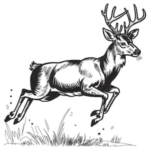 May include: A monochrome illustration of a deer in mid-leap, with detailed linework and shading. The deer has prominent antlers and is depicted above a patch of grass. The style is reminiscent of an engraving.