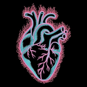 Könnte beinhalten: Illustration eines anatomischen Herzens in Türkis und Rosa, vor schwarzem Hintergrund. Umrisse und innere Strukturen des Herzens sind mit einem Neon-Effekt detailliert, umgeben von stilisierten Flammen.