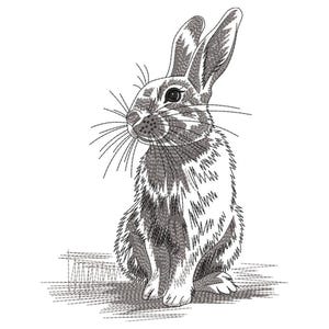 May include: A detailed black and white illustration of a seated rabbit. The rabbit has long ears, whiskers, and a fluffy body. The artwork is done in a cross-hatch style, giving it a textured appearance.