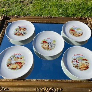 Set of 5 vintage illustrated cheese plates - Winterling Kitchenlomite Bavaria porcelain