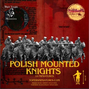 Set med 10 polska beridande riddare. 28 mm miniatyrer
