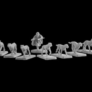 Può includere: Un set di nove miniature, tra cui una figura umana con un bastone e otto figure di ghepardo. Le figure sono dipinte in grigio chiaro e sono in una varietà di pose dinamiche.