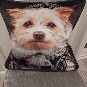 dog cushion cover