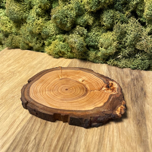 Rustikaler Holz Untersetzer mit Baum Rinde