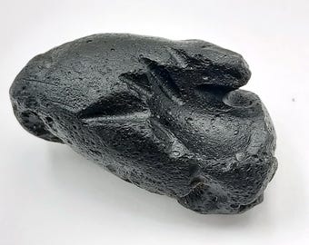 本物の小惑星インドシナイトテクタイト隕石科学教育とジュエリー宇宙岩