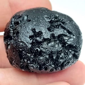 May include: A black tektite stone with a glossy, textured surface. The stone has an irregular, rounded shape and appears to be a natural geological specimen. The surface has intricate patterns and a high-shine finish.