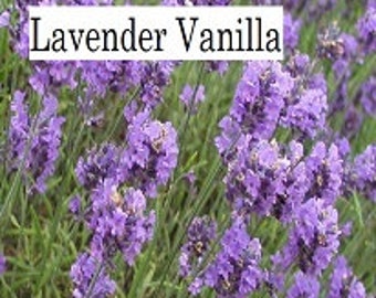 Lavender Vanilla Perfume, Body Mist, Body Oil, Soap, Lotion, Room Spray, Wax Melts