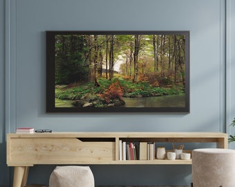 Samsung Frame TV Art, Turn TV into Art, 3840 x 2160 pixels, Forest in Spring, Trees, Anemones  Digital, Not for Print, TV Wall Decor, 16:9