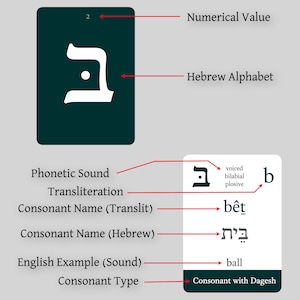 May include: A green square with the Hebrew letter "bet" (ב) in white. The letter has a dot in the centre. The letter is labelled with the number "2" and the word "Hebrew Alphabet". Below the square, the letter is shown with the transliteration "bet" and the phonetic sound "b". The consonant name in Hebrew is "beit" and the English example is "ball". The consonant type is "Consonant with Dagesh".