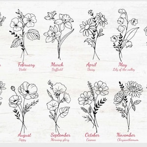 May include: A collection of twelve black and white line art floral illustrations representing each month of the year. Each bouquet is labeled with the month name and corresponding birth flower, including Carnation, Violet, Daffodil, Daisy, Lily of the valley, Rose, Water lily, Poppy, Morning glory, Cosmos, Chrysanthemum, and Holly.