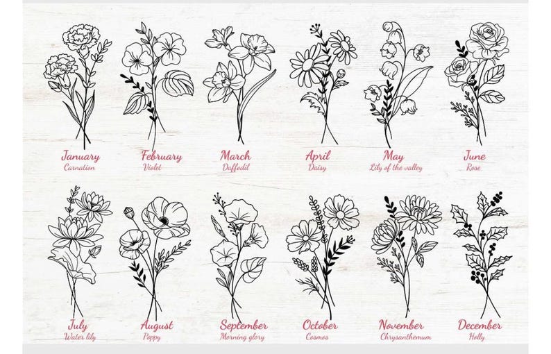 May include: A collection of twelve black and white line art floral illustrations representing each month of the year. Each bouquet is labeled with the month name and corresponding birth flower, including Carnation, Violet, Daffodil, Daisy, Lily of the valley, Rose, Water lily, Poppy, Morning glory, Cosmos, Chrysanthemum, and Holly.