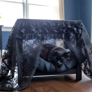 May include: A black cat bed with a canopy made of black lace. The bed frame is black, and the cat is resting on a blue cushion. The lace canopy is draped over the frame, creating a cozy space.