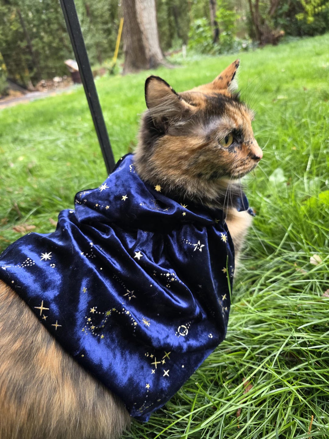 Magi Cape Pet Costume, Cat or Dog Cape • Celestial • Space Cowboy ...