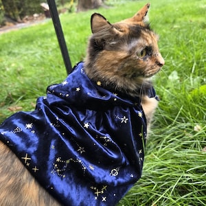 Magi Cape Pet  Costume, Cat or Dog Cape • Celestial • Space Cowboy • Outfit • North Star • Bethlehem