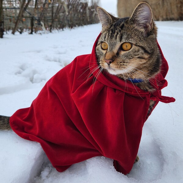 Pet and Human Red Riding Hood, Cape, Costume