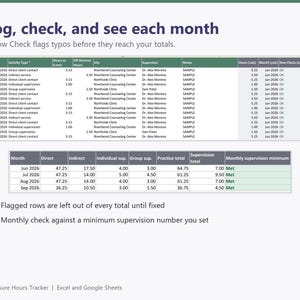 Clinical Hours Tracker, Supervision Log: Texas and Michigan LPC Presets, Custom Requirements for LCSW LMFT, Excel and Google Sheets image 6
