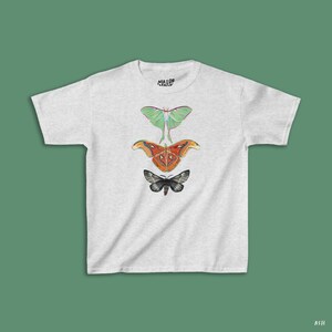 May include: A light gray t-shirt featuring three colorful moth illustrations. The top moth is green, the middle is orange with a geometric design, and the bottom is black and gray. The text "MAJOR MOTH" is printed on the top.