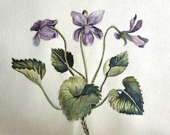 Painted Botanical Illustration (Watercolour)