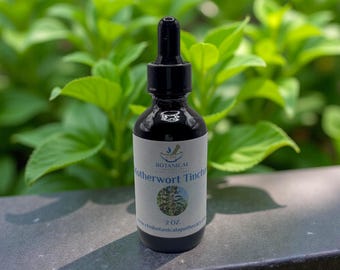 Organically Grown Motherwort Tincture