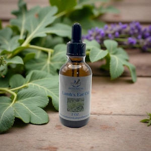 Lamb&#39;s Ear Oil