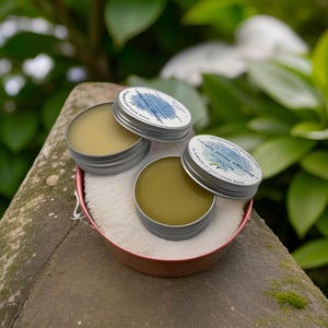 Borage Hand Salve