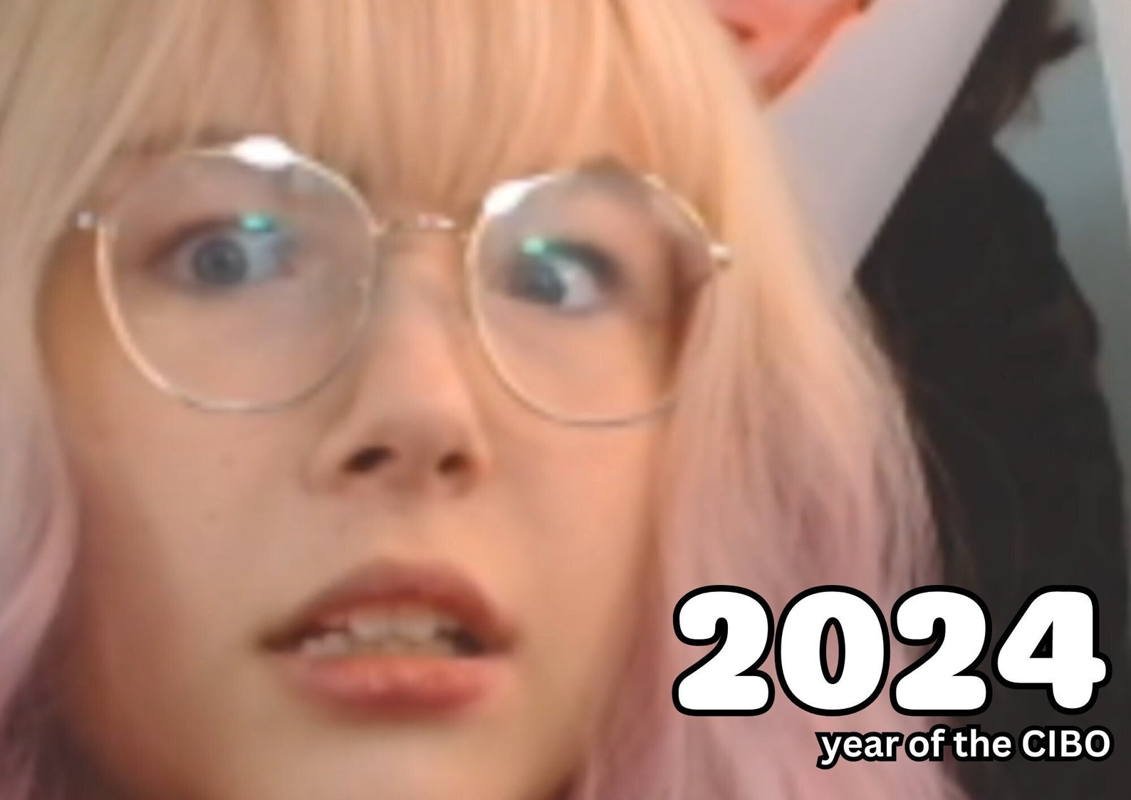 2024 Meme Calendar Digital Download Cibo Youtuber Etsy