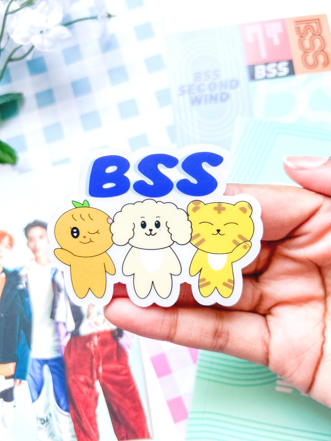 BSS Clear Sticker - Etsy