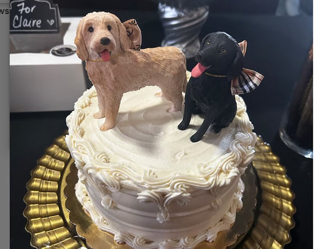 Personalized Custom Dog Wedding Cake Topper , Pet Cake Topper，pets ...