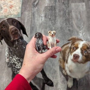 Custom Pet Cake Topper, Personalized Dog Figurine, Pet Anniversary Gift