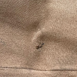 Women's Members only tan suede jacket image 5