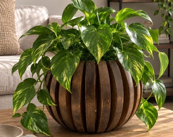 Indoor Planter / Pot Cover, Solid wood