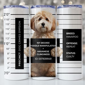 May include: A white 20 oz tumbler featuring a Havapoo dog mugshot design. The tumbler includes text that reads "Precinct: Dog Crimes Division", "1st Degree Poodle Manipulation + Havanese Clinginess", and "Guilty".