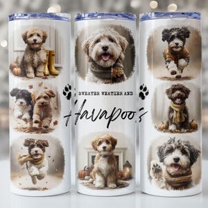 May include: A cylindrical white tumbler featuring multiple illustrations of Havapoo dogs wearing scarves and sweaters. The text Sweater Weather and Havapoos is printed in black. The dogs are depicted in various poses, including sitting and running, with autumn-themed elements like pumpkins and fallen leaves.
