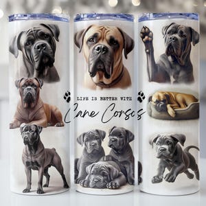 May include: A cylindrical tumbler featuring multiple illustrations of Cane Corso dogs in various poses, including standing, sitting, and lying down. The text "LIFE IS BETTER WITH Cane Corsos" is printed in the center, accompanied by small paw print icons.