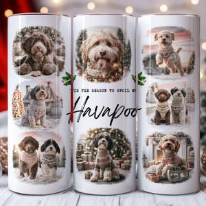 May include: A white cylindrical tumbler featuring multiple circular photo frames of Havapoo dogs wearing sweaters in winter settings. The text reads 'IS THE SEASON TO SPOIL MY Havapoo' in black lettering, surrounded by festive holiday imagery.