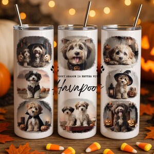 Havapoo Halloween Tumbler Wrap PNG, 20oz Skinny Sublimation Design, Spooky Season is Better with Havapoos, Halloween Dog Wrap