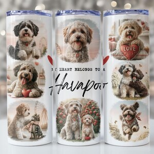 May include: A cylindrical white tumbler featuring multiple illustrations of Havapoo dogs in various settings. The text MY HEART BELONGS TO A Havapoo is printed in black. The designs include dogs with hearts, a cat, and floral elements in soft colors.