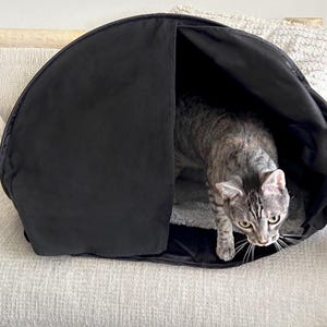 Cat exiting their Cozy dark and relaxing den