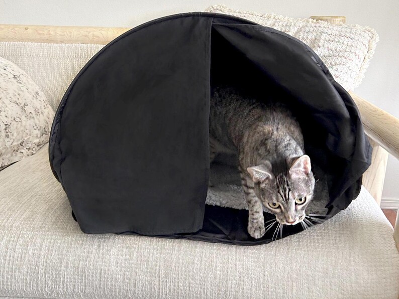 Cat exiting their Cozy dark and relaxing den