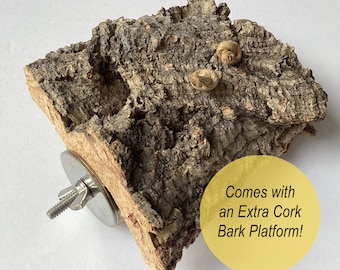 Cork Bark Perch with Replaceable Cork Piece for Small Birds  - Budgies, Conures, Cockatiels, Quakers, Ringnecks