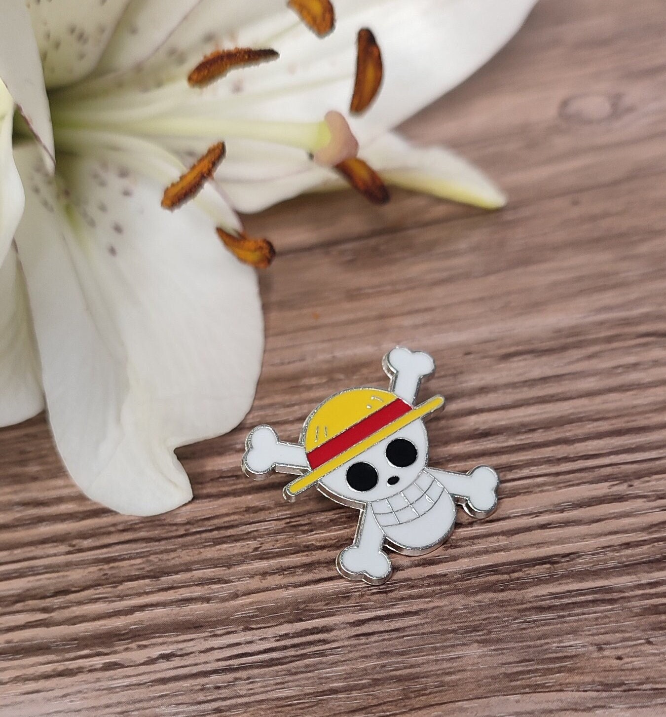 Pin on Idea Pins by you  One piece cartoon, One peice anime, Manga anime  one piece