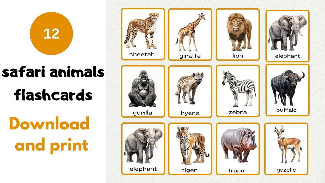 Printable Educational Flashcards Safari Animals Cards Etsy